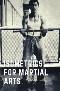 Isometrics for martial arts