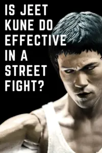 Is Jeet Kune Do Effective in a Street Fight