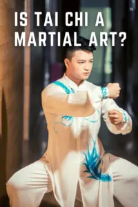 Is Tai Chi A Martial Art