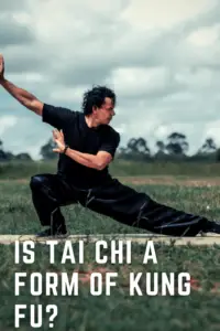 Is Tai Chi a Form of Kung Fu