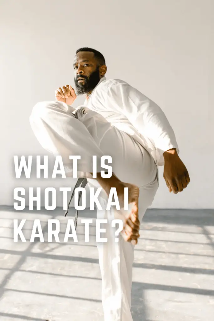 What is Shotokai Karate