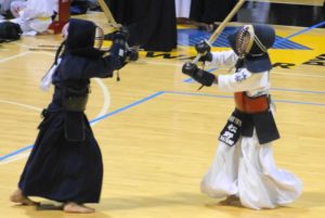 Kendo vs Fencing