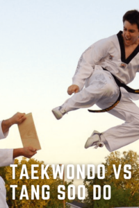 Taekwondo vs Tang Soo Do
