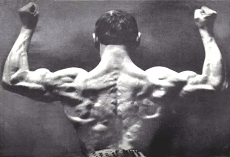 Are chest expanders effective? Dojo Mart